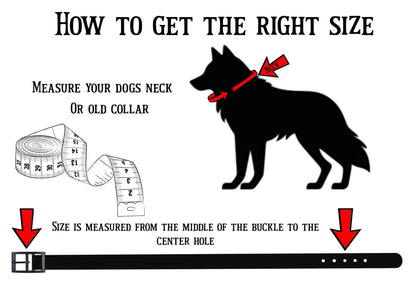 Spiked dog collar