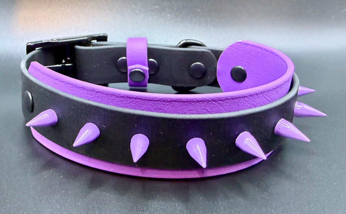 Spiked dog collar