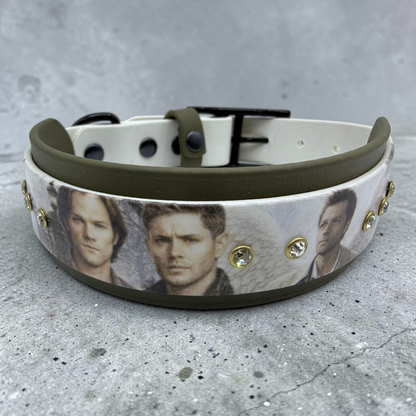Fanart Dog Collar