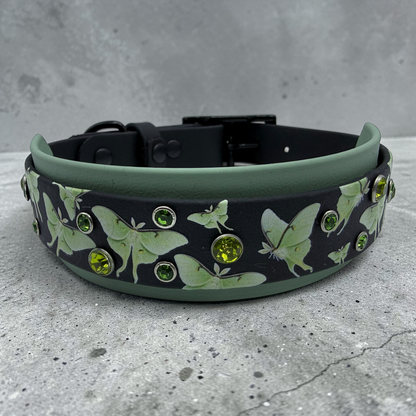 Myth & Macarbe dog collars