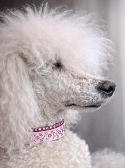 Crystal dog collar